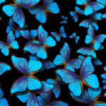 Black Halter Side Cut Swimsuit with Blue Butterflies