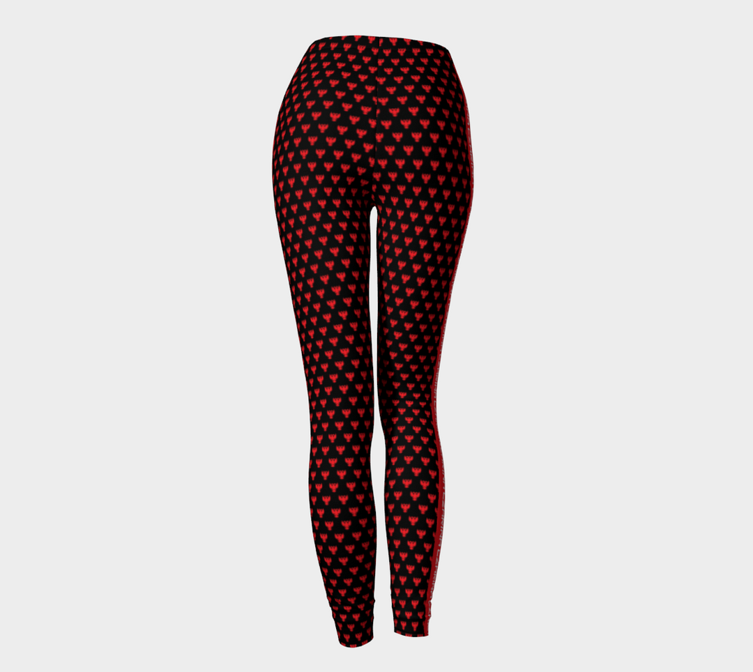 Modern and sleek Czarina leggings.