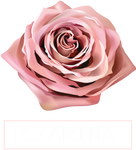 Ultra-soft Ultra-Luxurious Pink Rose Czarina Triblend