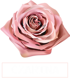 Ultra-soft Ultra-Luxurious Pink Rose Czarina Triblend